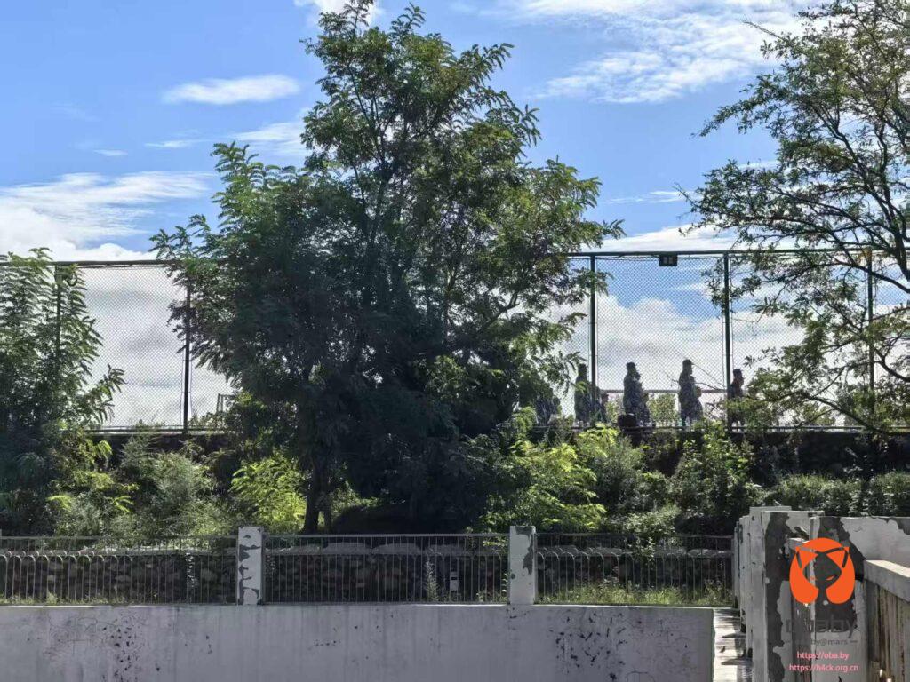 微信图片_20250915100349_134